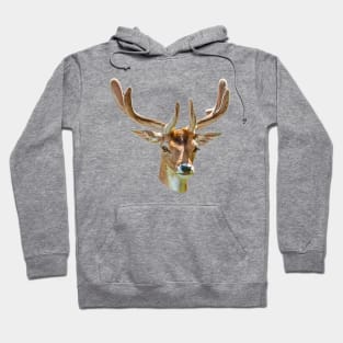 Fallow Buck in velvet Hoodie